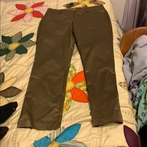 Golden Stretch Pants